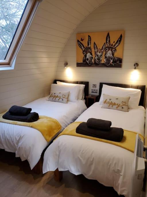 Riding Gate Lodge Charlton Musgrove Экстерьер фото